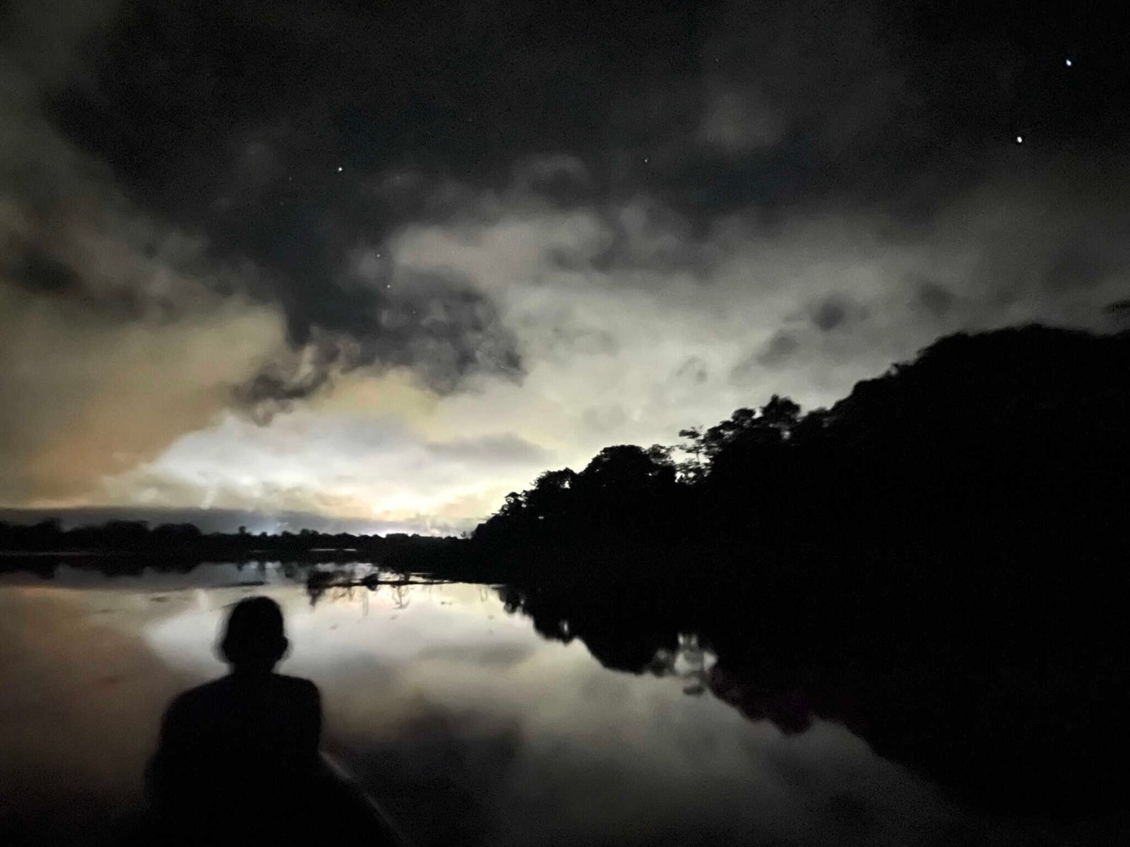 Night in the Amazon jungle, the setting for our Dart Frog tee and cap